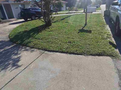 Lawn Care service in Lithia, 33547