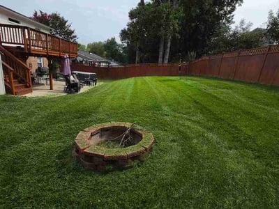 Lawn Care service in Springfield, 22150