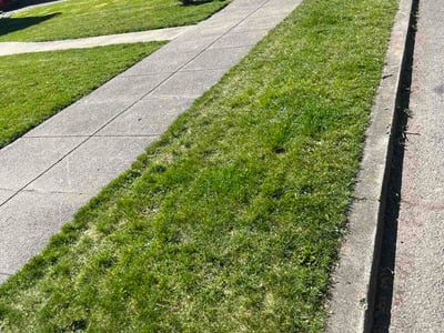 Lawn Care service in Spokane, 99201