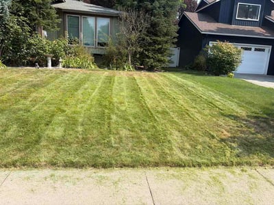 Lawn Care service in Spokane, 99201