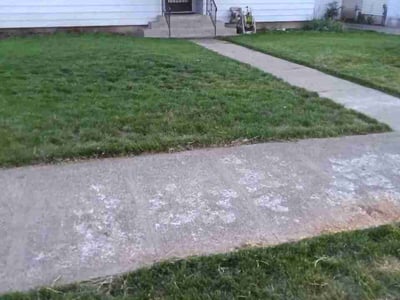 Lawn Care service in Spokane, 99201