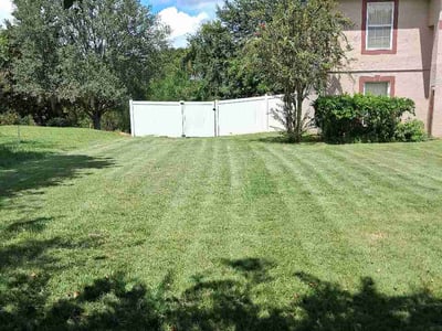 Lawn Care service in Eustis, 32726