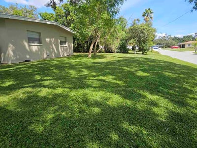 Lawn Care service in Clearwater, 33755