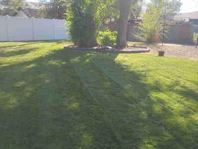Lawn Care service in Spokane, 99201