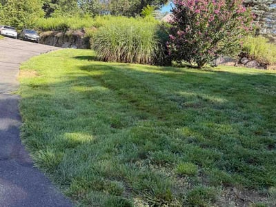 Lawn Care service in Parsippany, 07054