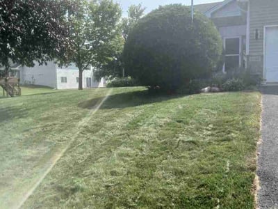 Lawn Care service in Saint Michael, 55376