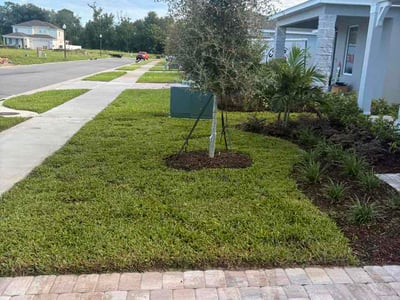 Lawn Care service in Mount Dora, 32757