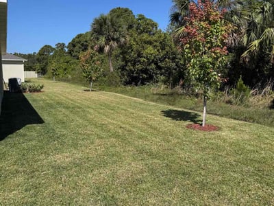 Lawn Care service in Indialantic, 32903