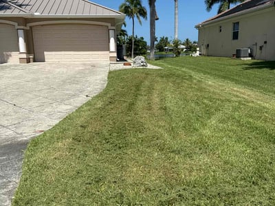 Lawn Care service in Indialantic, 32903