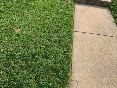 Lawn Care service in Joppa, 21085