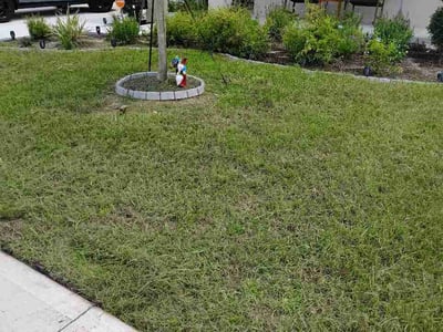 Lawn Care service in Mount Dora, 32757