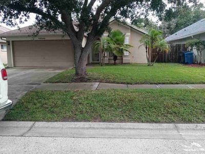 Lawn Care service in Brooksville, 34601