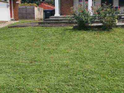Lawn Care service in Dumfries, 22026