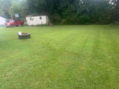 Lawn Care service in Petersburg, 23803