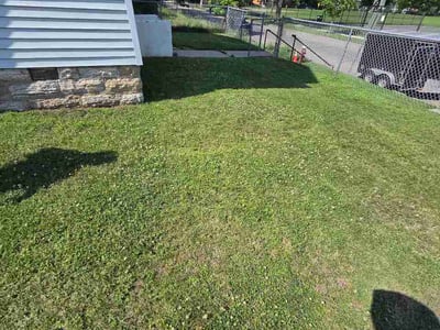 Lawn Care service in Bloomington, 55431