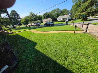 Lawn Care service in Henrico, 23294