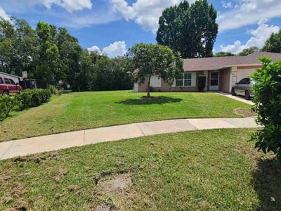 Lawn Care service in Ocoee, 34761