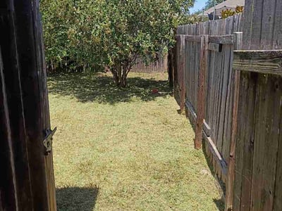 Lawn Care service in Cibolo, 78108