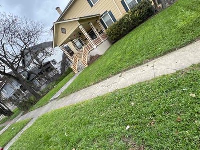 Lawn Care service in Cibolo, 78108