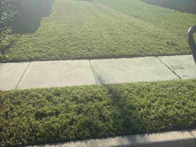 Lawn Care service in Davenport, 33837