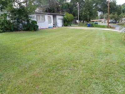 Lawn Care service in Davenport, 33837