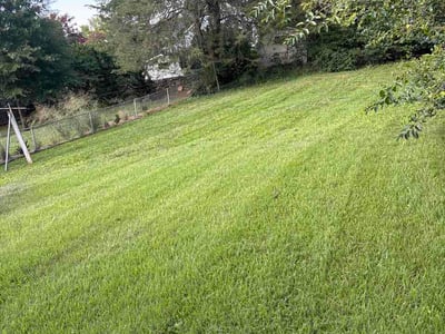 Lawn Care service in Fort Washington, 23936