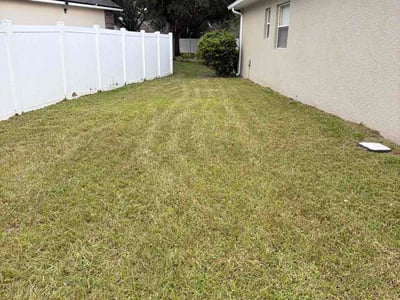 Lawn Care service in New Brunswick, 08901
