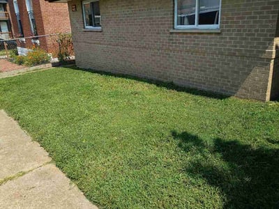 Lawn Care service in Republic, 65738