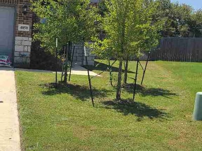 Lawn Care service in Floresville, 78114
