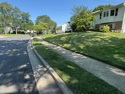 Lawn Care service in East Brunswick, 08816