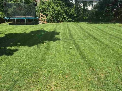 Lawn Care service in Lawson, 64062