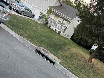 Lawn Care service in Belton, 64012