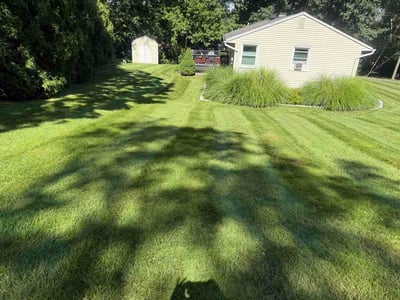 Lawn Care service in Wallingford, 06492