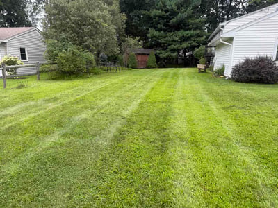 Lawn Care service in Wallingford, 06492