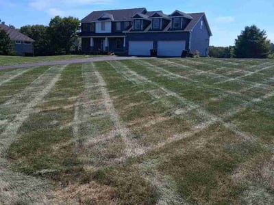 Lawn Care service in Richfield, 55423