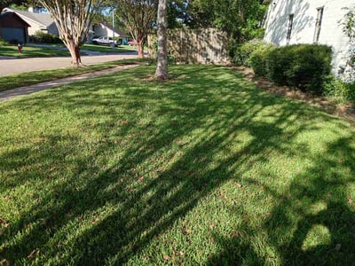 Lawn Care service in Stafford, 77477