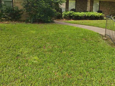 Lawn Care service in Watauga, 76148