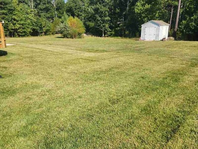 Lawn Care service in Powhatan, 23139
