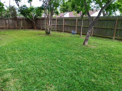 Lawn Care service in Seabrook, 77586