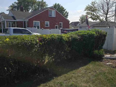 Lawn Care service in Livonia, 48150