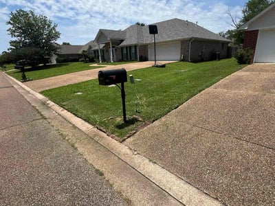 Lawn Care service in Pearl, 39208