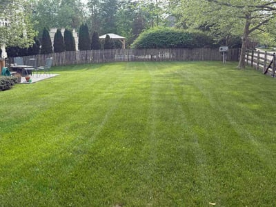 Lawn Care service in Annandale, 22003