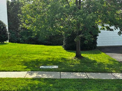 Lawn Care service in Annandale, 22003