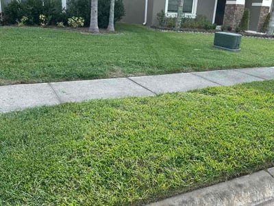 Lawn Care service in Hunters Creek, 32837