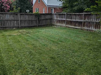 Lawn Care service in Annandale, 22003