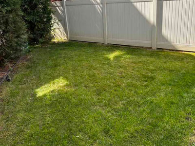Lawn Care service in American Fork, 84003