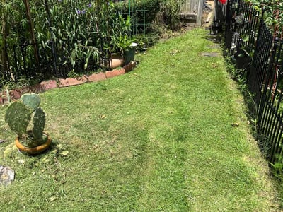 Lawn Care service in Pearl, 39208