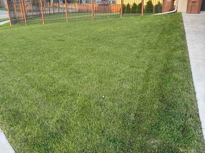 Lawn Care service in American Fork, 84003