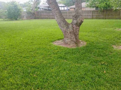 Lawn Care service in Lake Jackson, 77566