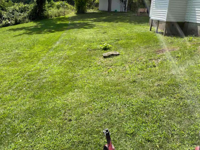 Lawn Care service in Ada, 49301